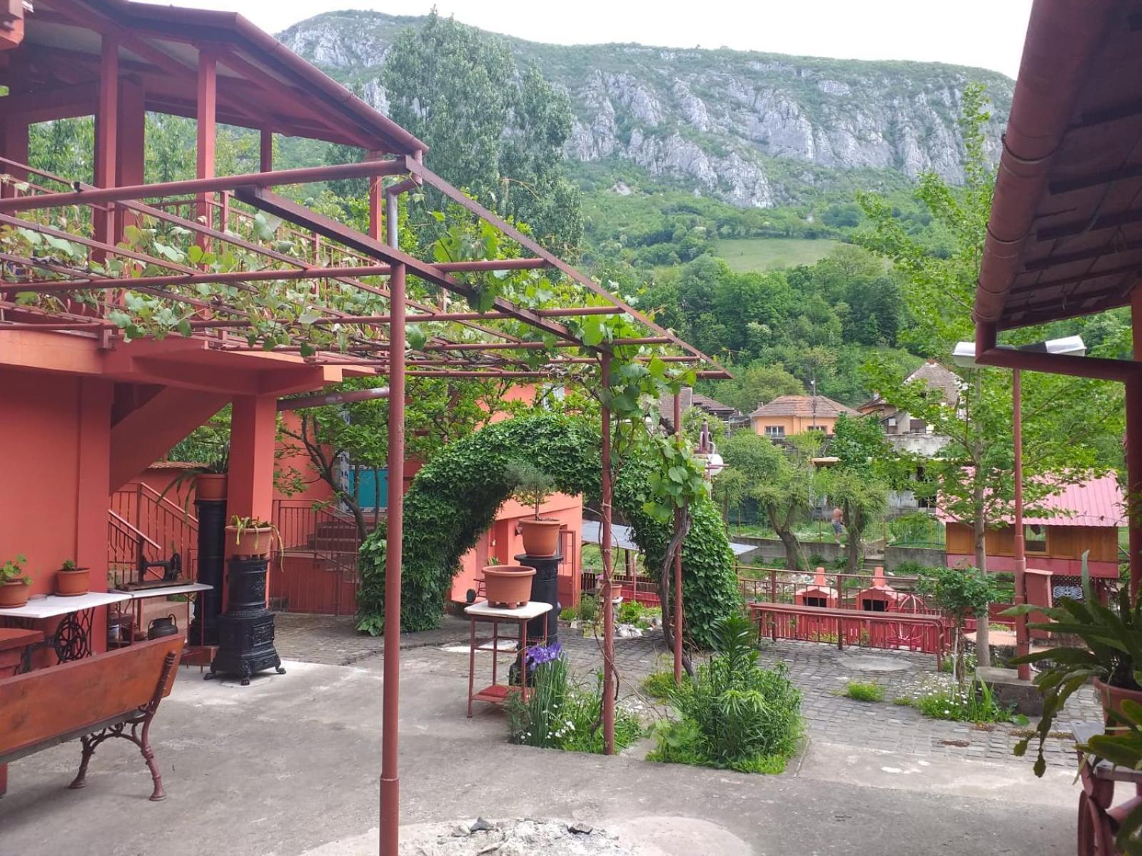 Pensiunea Belladonna Băile Herculane エクステリア 写真